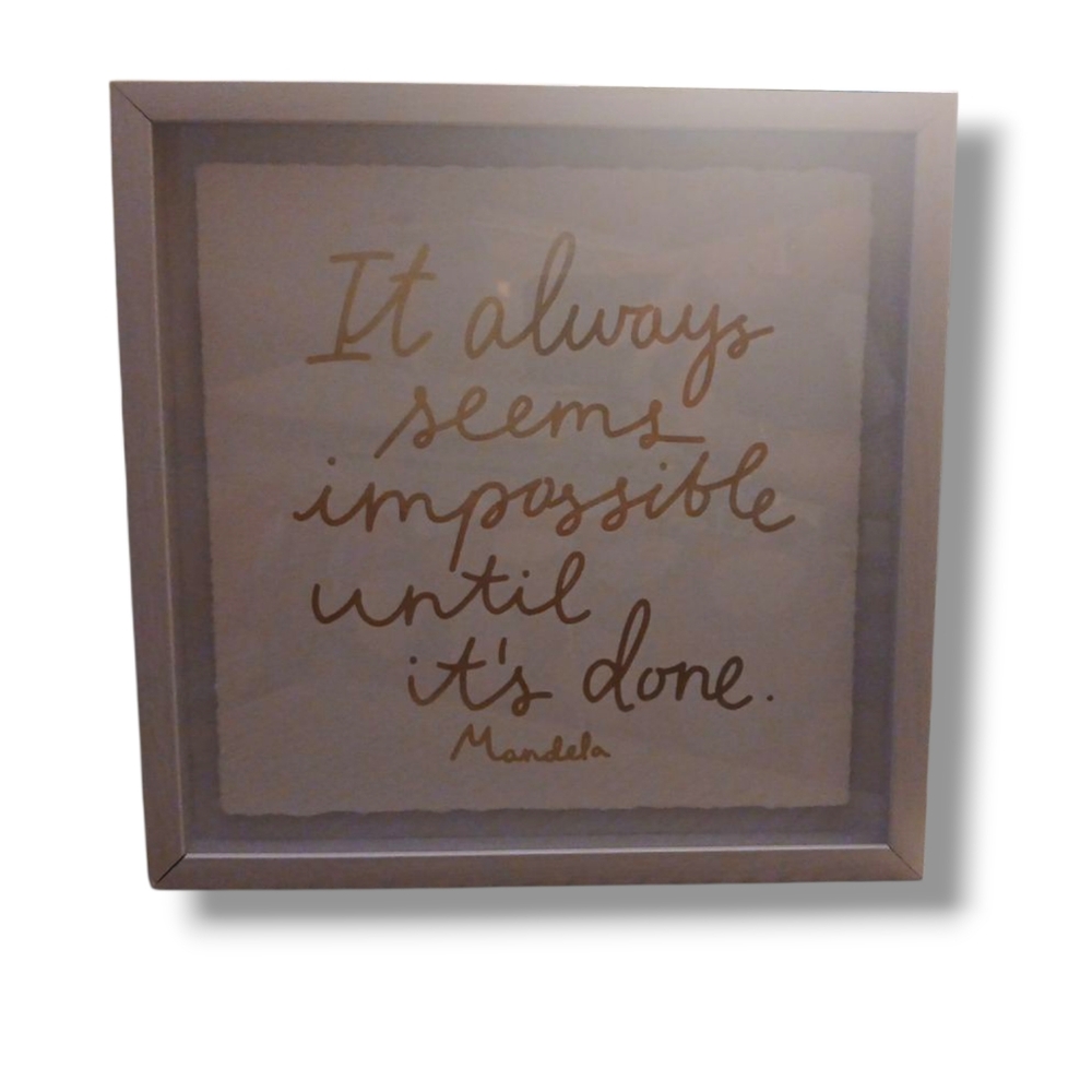LIKE NEW Mandela Quote Wall Art